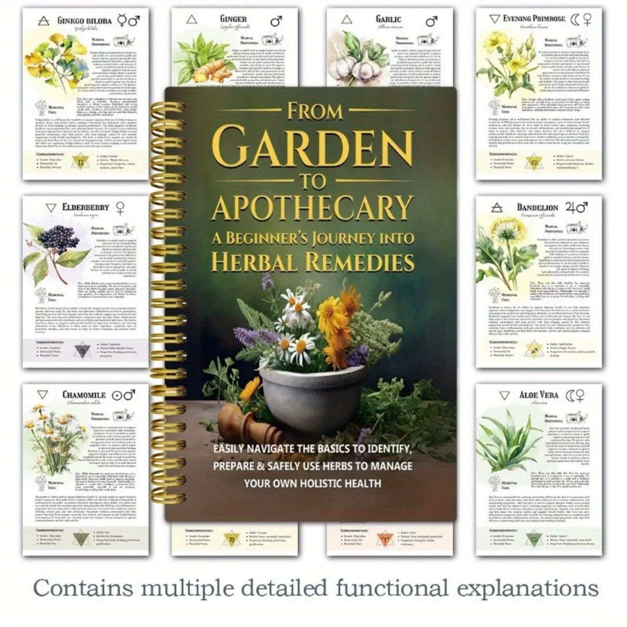 From Garden To Apothecary A Be - Herbal Wellness Remedy のレビューと価格